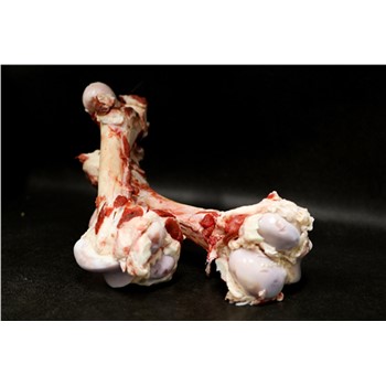 MARROW BONES